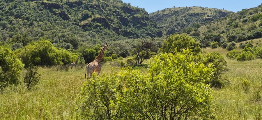 11 Bedroom Property for Sale in Groot Marico North West